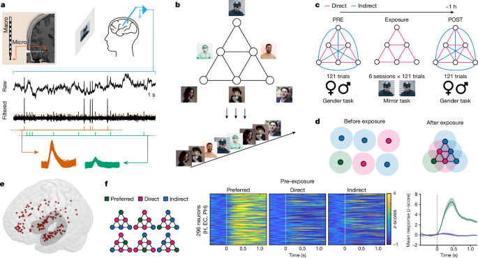 Human hippocampal and entorhinal neurons encode the temporal structure of experience