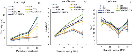 Short-Term Effect of the Combined Application of Rice Husk Biochar and Organic and Inorganic Fertilizers on Radish Growth and Nitrogen Use Efficiency