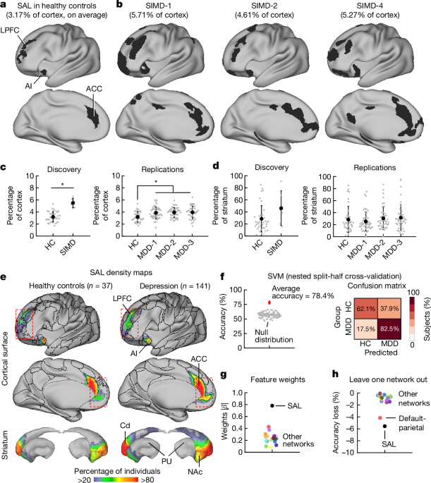 Frontostriatal salience network expansion in individuals in depression