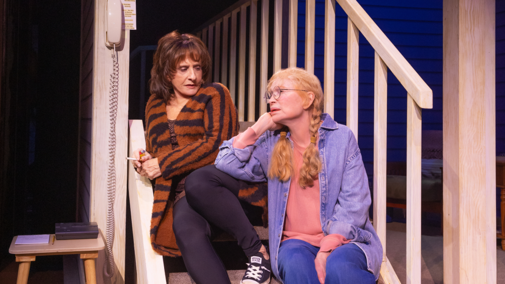 'The Roommate' Review: Mia Farrow, Patti LuPone in Broadway Comedy