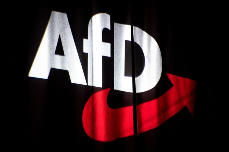 Germany's AfD party expelled from European Parliament group