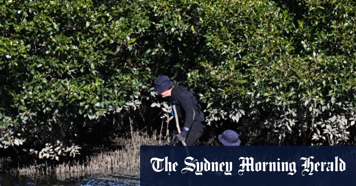 Police search new site on banks of Cooks River near where woman gave birth