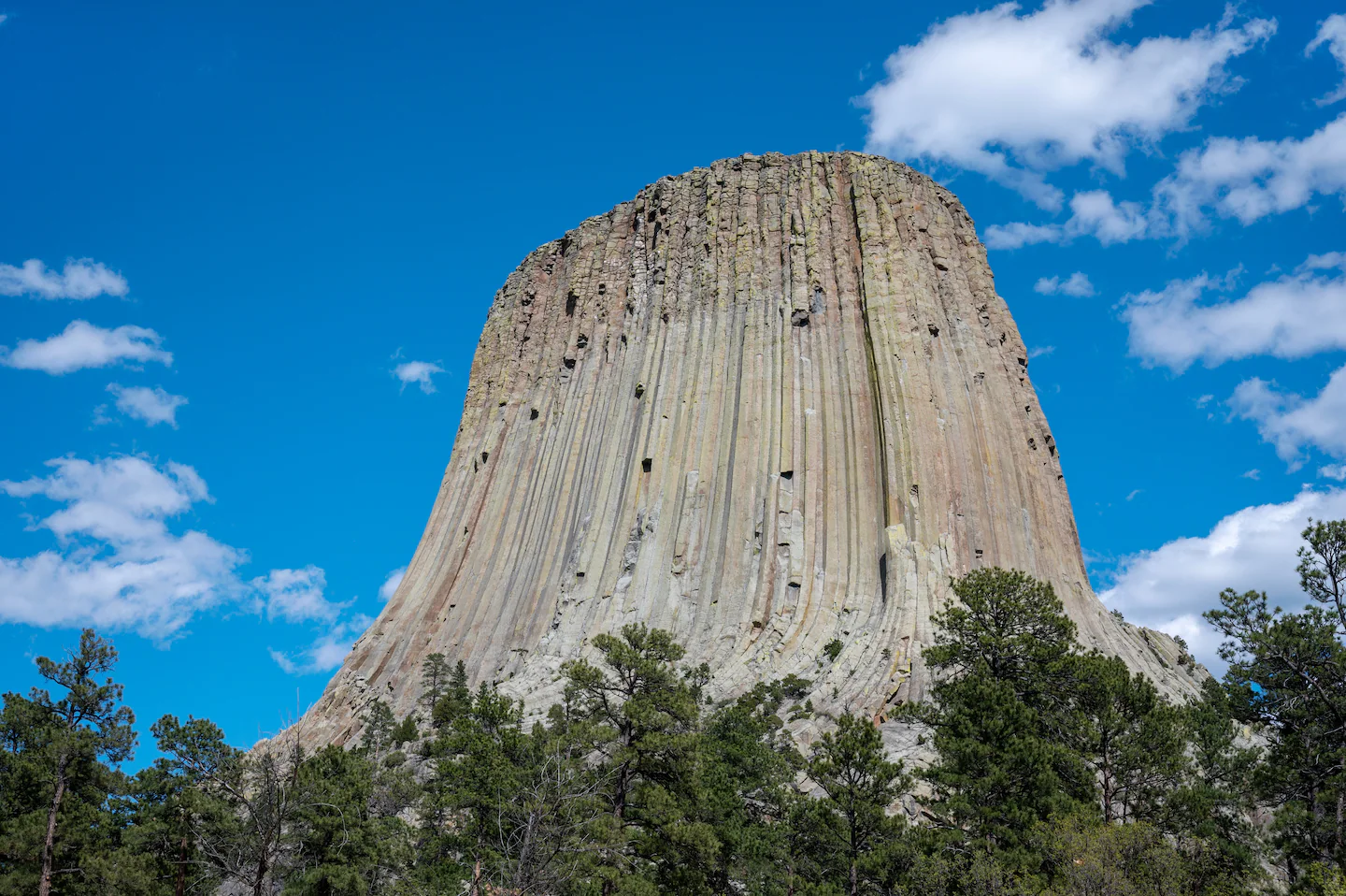 Climber falls to his death at Wyoming’s Devils Tower