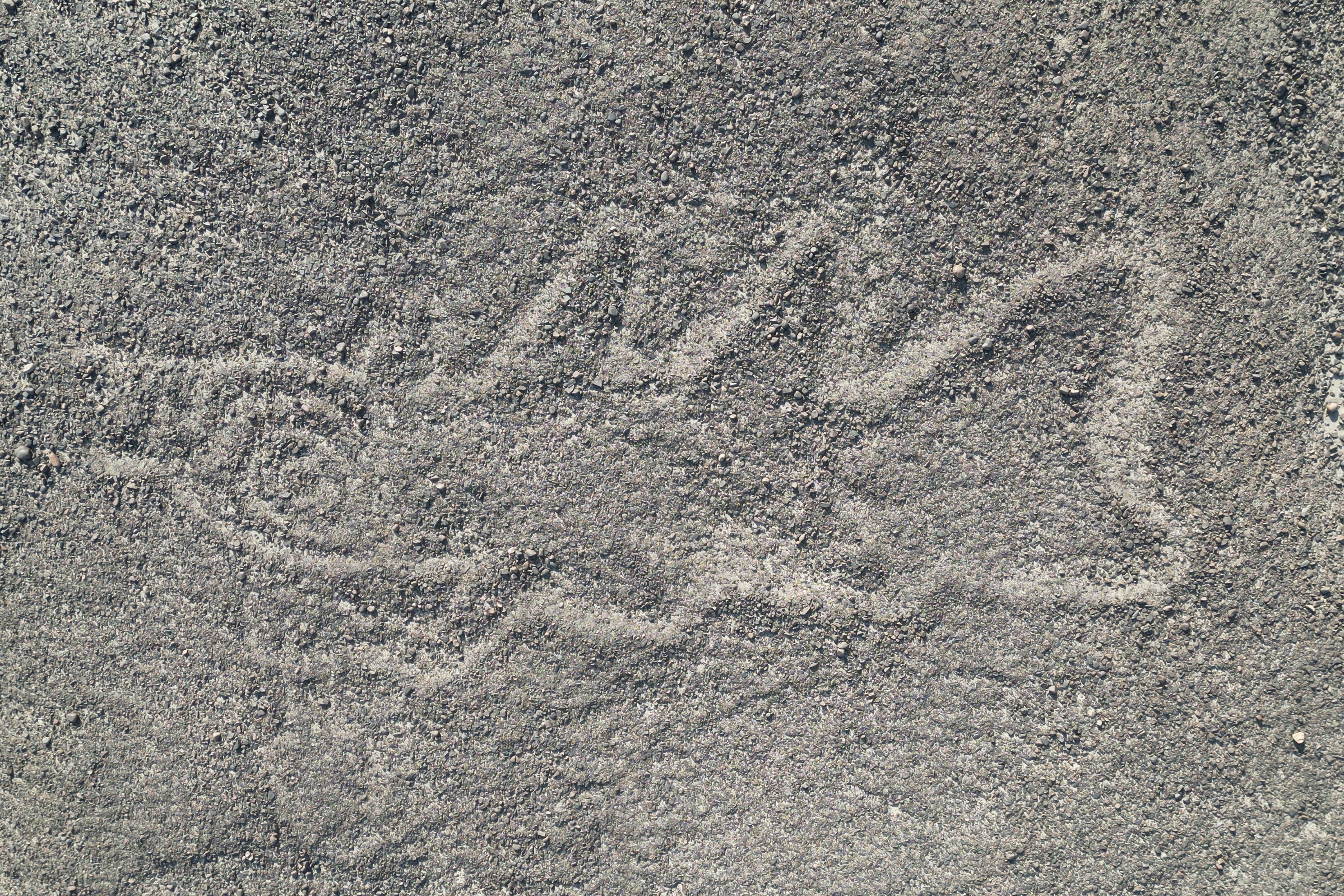 Hundreds of Mysterious Ancient Nazca Land Artworks Found with Aid of AI