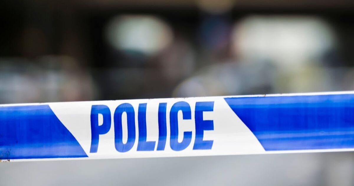 Urgent investigation as baby found dead in London street