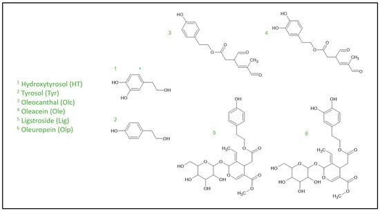 Cardiovascular and Metabolic Benefits of Extra Virgin Olive Oil Phenolic Compounds: Mechanistic Insights from In Vivo Studies