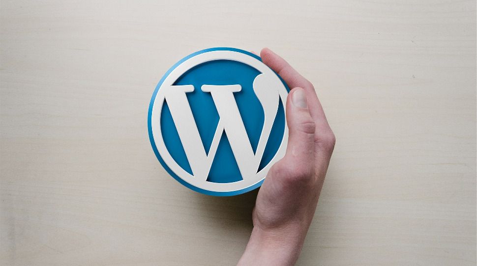 Another top WordPress plugin has a serious security flaw &mdash; patch now to keep your website safe
