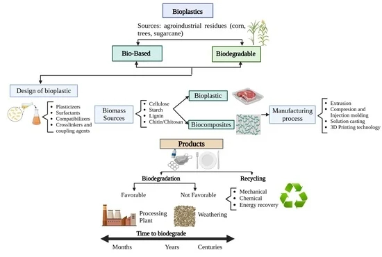 Opportunities and Challenges in the Application of Bioplastics: Perspectives from Formulation, Processing, and Performance