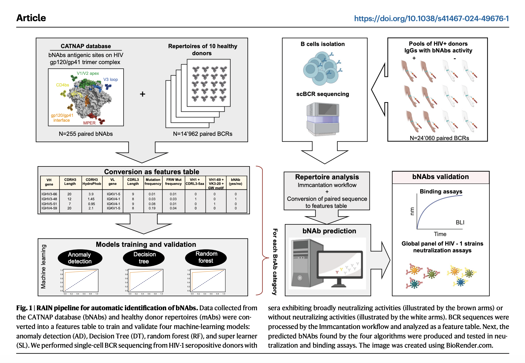 Innovative Machine Learning-Driven Discovery of Broadly Neutralizing Antibodies Against HIV-1 Using the RAIN Computational Pipeline