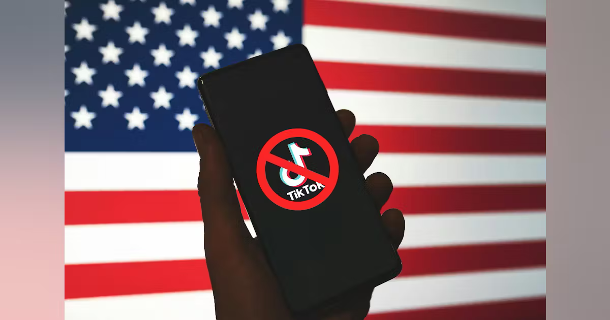 The TikTok ban debate: implications for security