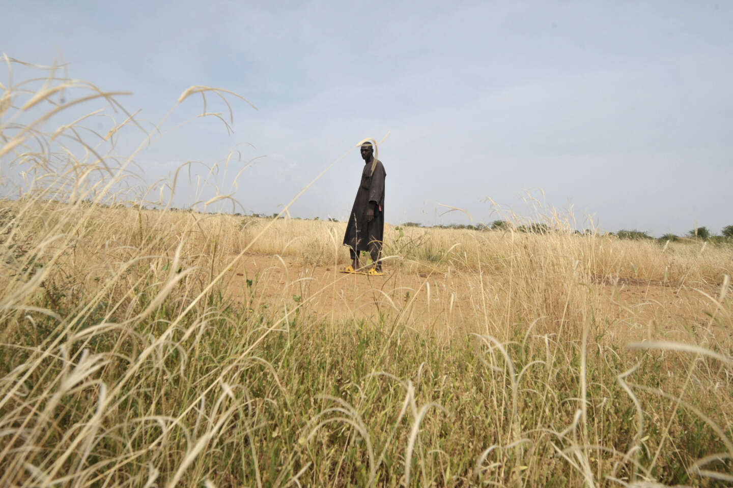 Climate Crisis Intensifies: Sahel Heatwave Linked To Human Actions | Brief