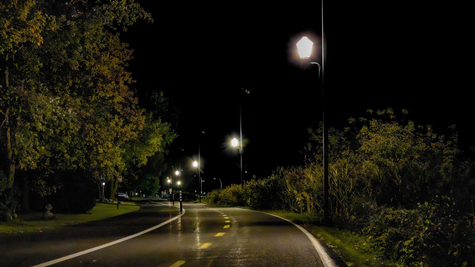 Leaving streetlights on all night appears to be changing how nature works, study finds