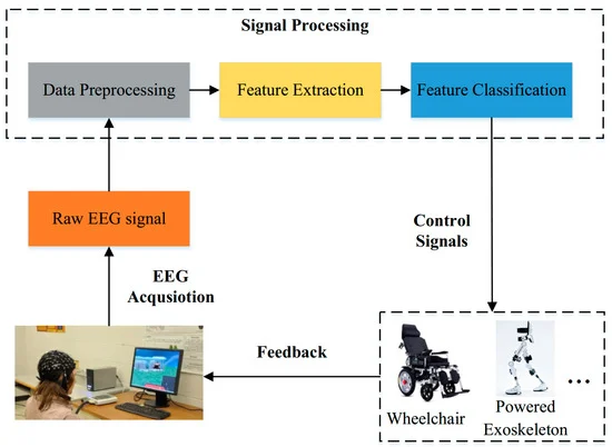 MST-DGCN: A Multi-Scale Spatio-Temporal and Dynamic Graph Convolution Fusion Network for Electroencephalogram Recognition of Motor Imagery