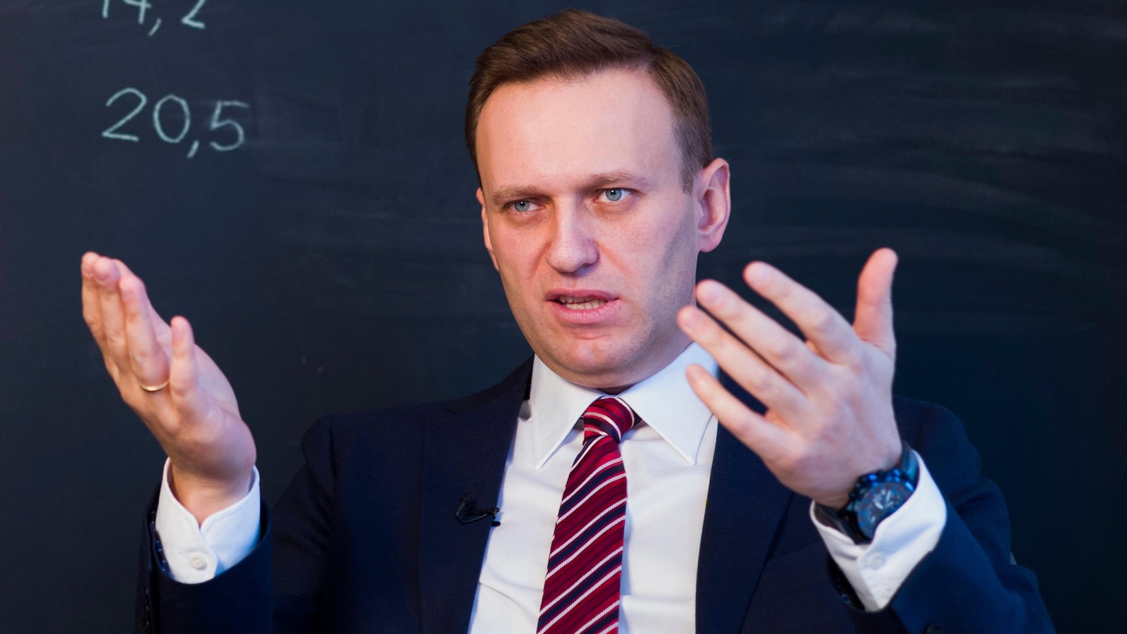 Putin likely didn’t order death of Russian opposition leader Navalny, US official says