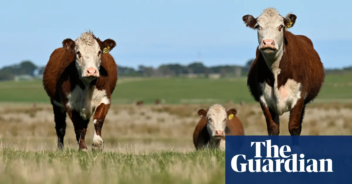 China lifts most remaining trade bans on Australian beef exports