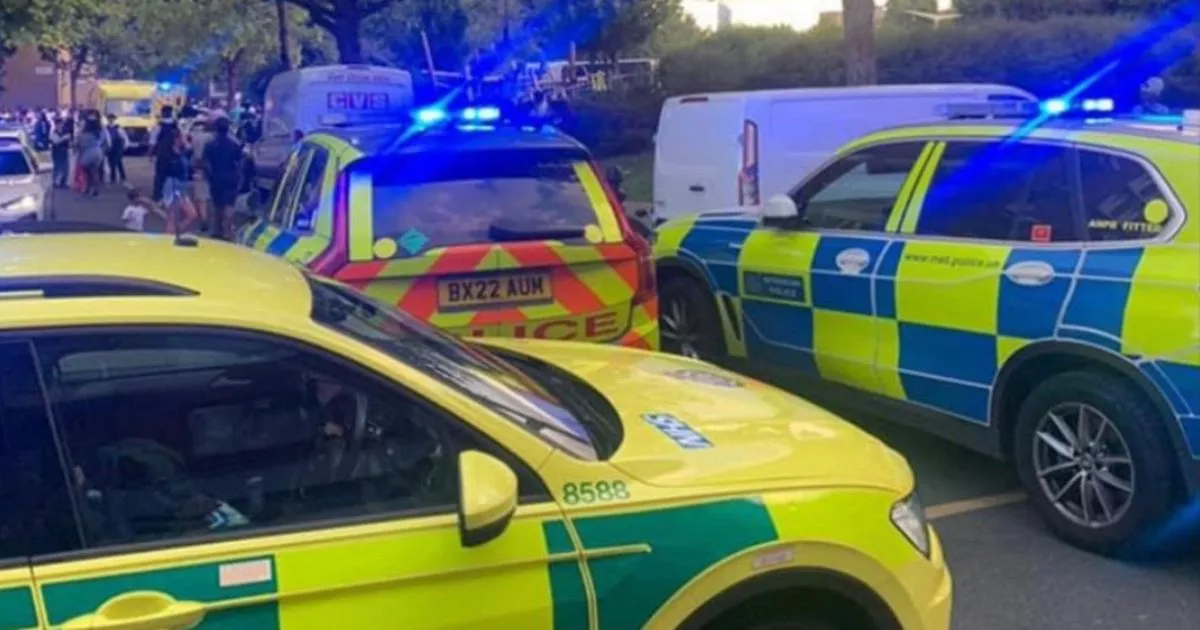 Boy, 15, shot dead in park as 6 arrested on suspicion of murder