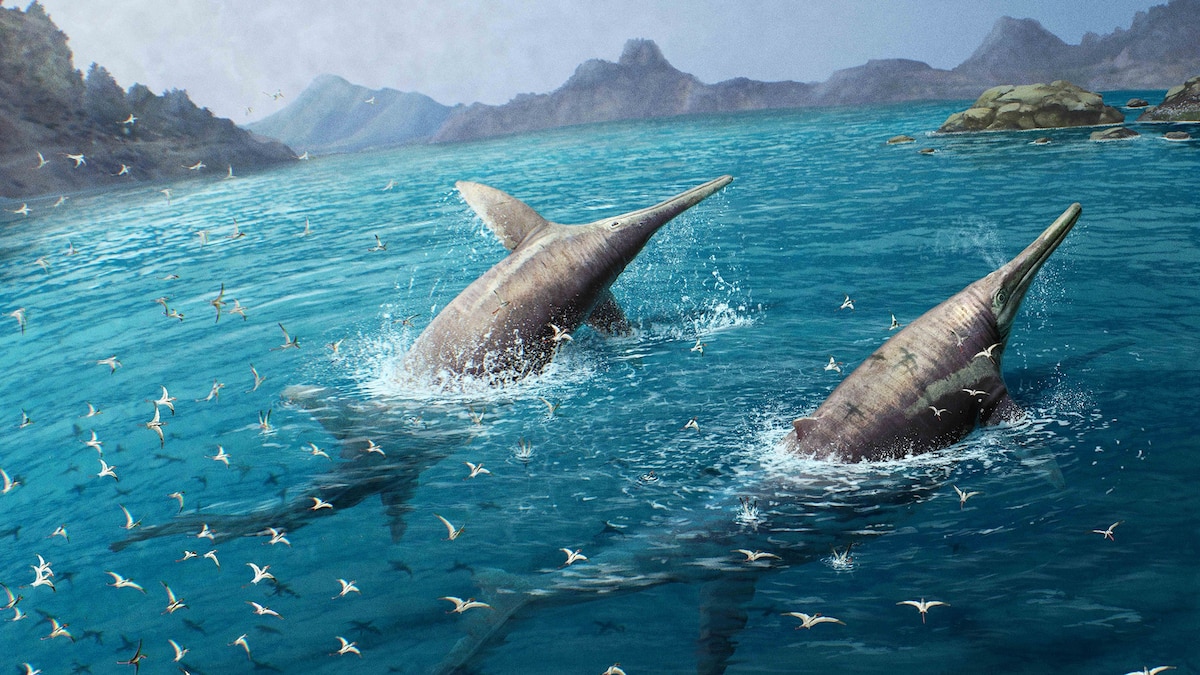 This 80-foot-long sea monster was the killer whale of its time