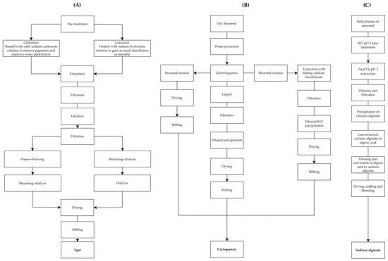 Ocean Plastics: Extraction, Characterization and Utilization of Macroalgae Biopolymers for Packaging Applications