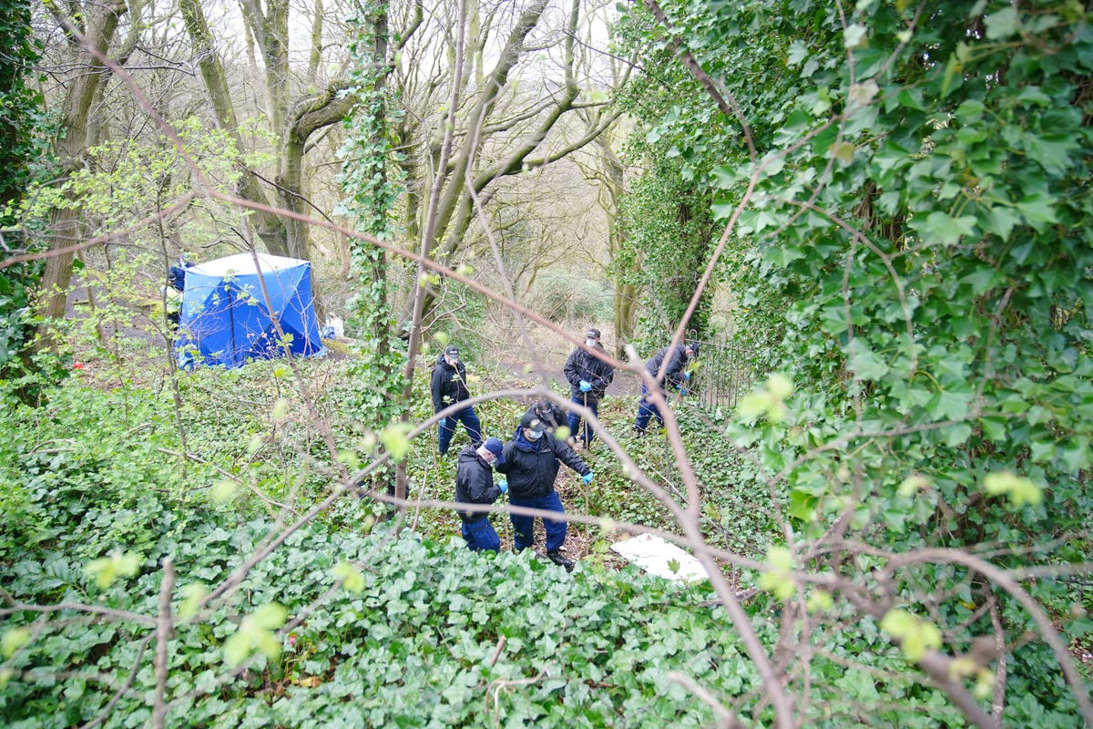 Two charged with murder after torso discovered in nature reserve