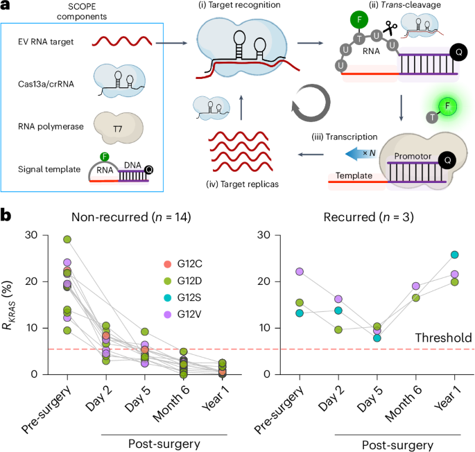 A CRISPR-based method for detecting mRNA in extracellular vesicles