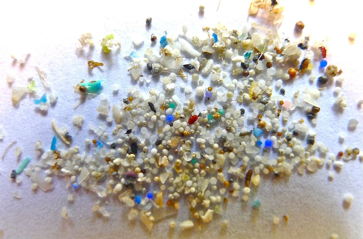 Scientists Find Microplastics in Human Brain Tissue Above the Nose