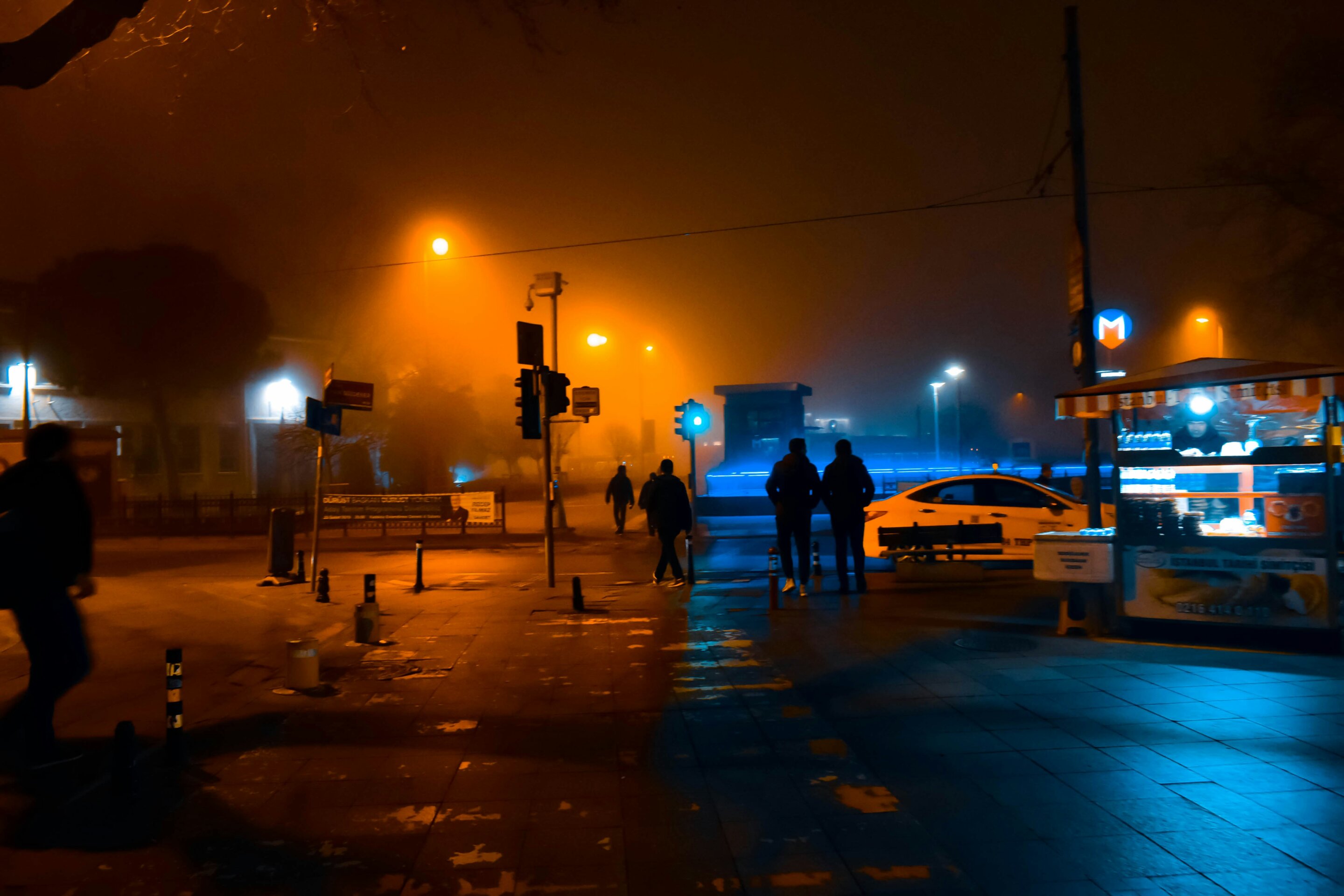 Streetlights running all night makes leaves so tough that insects can't eat them, threatening the food chain