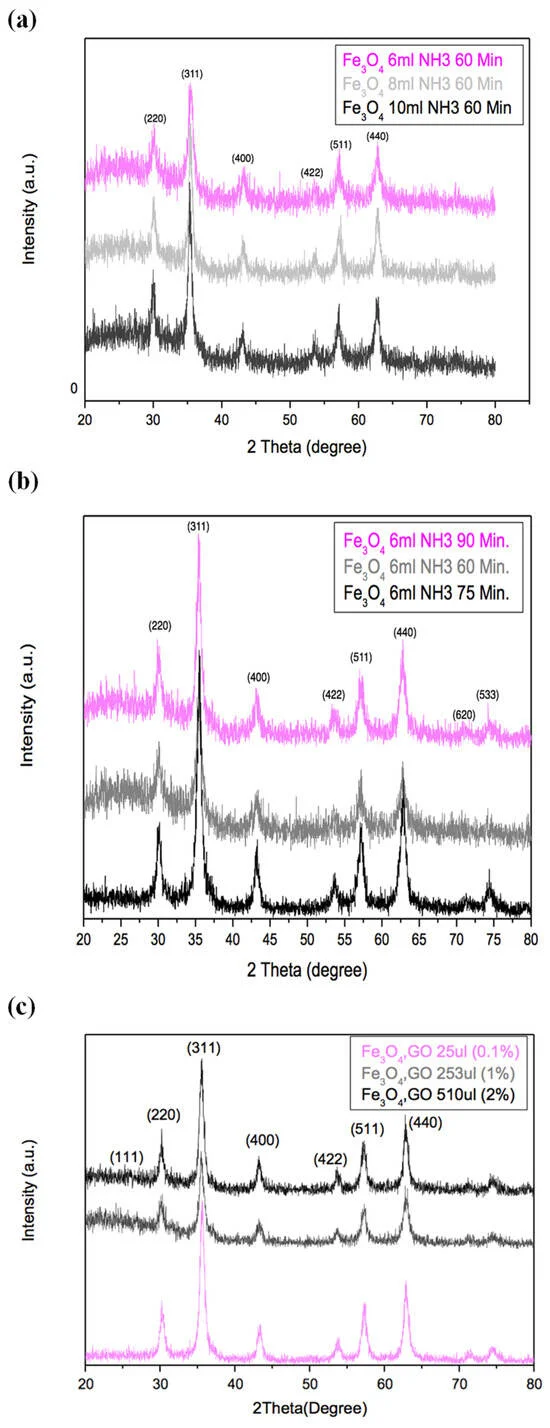 Investigation of the Application of Reduced Graphene Oxide–SPION Quantum Dots for Magnetic Hyperthermia