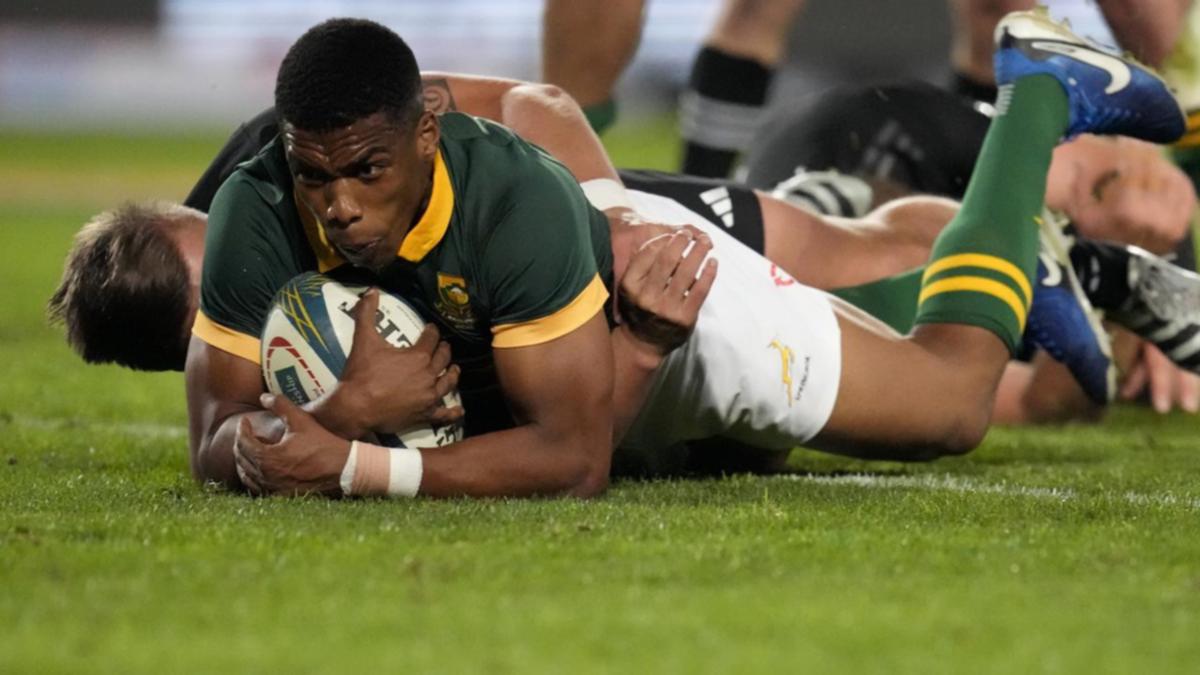 Springboks Top Rugby Rankings with Thrilling Win; Wallabies Eye Comeback in Rugby Championship