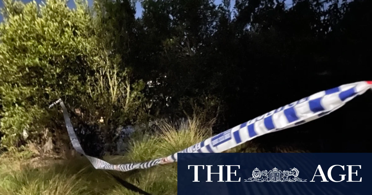 Urgent Search for Missing Mother and Newborn After Human Placenta Found on Sydney Riverbank