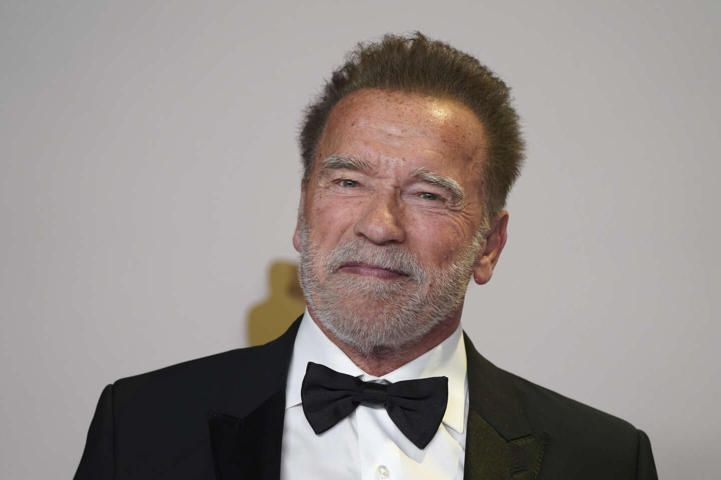 Daniel Beretta, Legendary French Voice of Schwarzenegger, Dies at 77