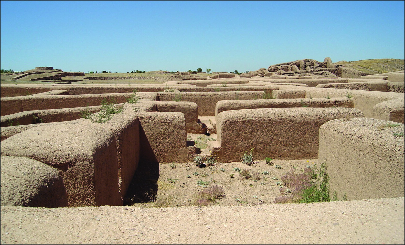 Incest and Ritual Sacrifice: Shocking DNA Findings at Ancient Mexican Site Paquimé