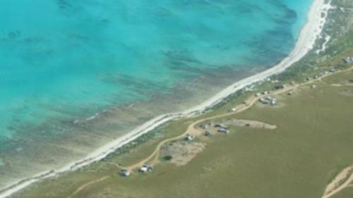 Shark Attack at Fourteen Mile Beach Leaves Spearfisher Injured Amidst Whale Carcass Warning