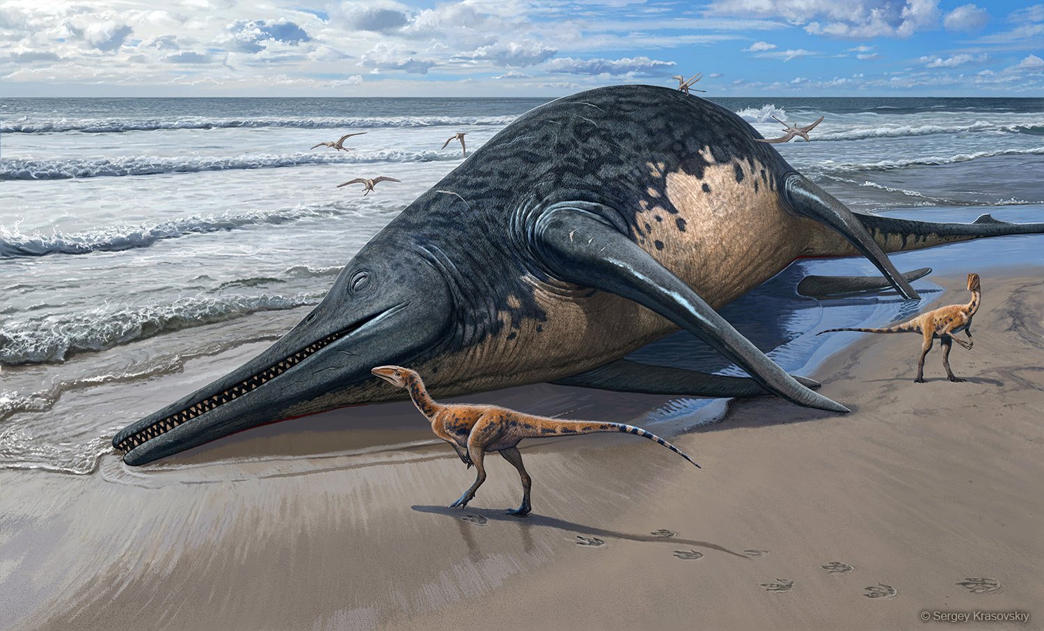 Giant Ichthyosaur Fossil Unearthed in UK, Rewrites Marine History