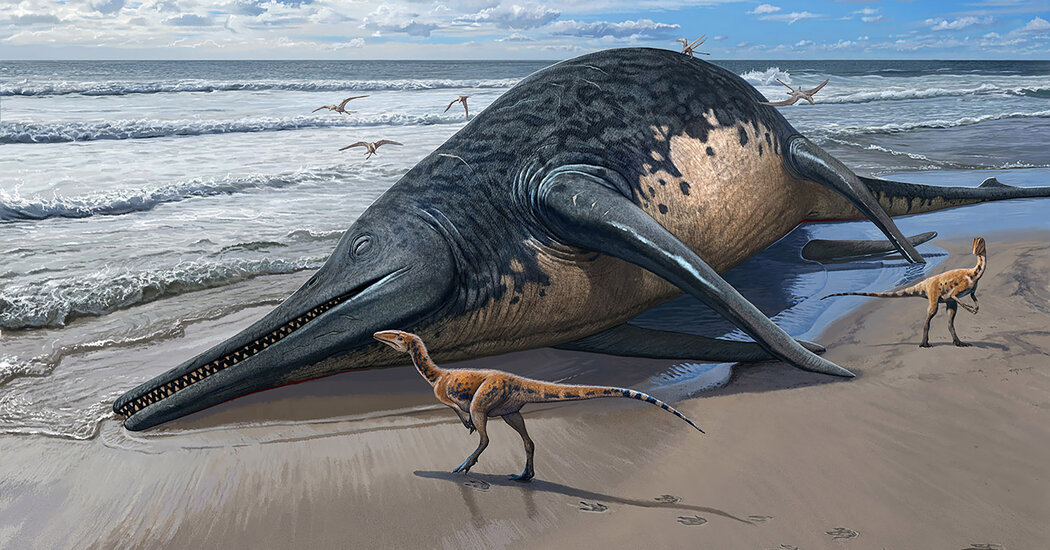 Mega Ichthyosaur Discovered in England: Rewriting Prehistoric Record