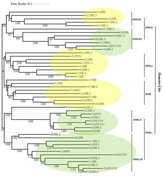 Unlocking Drought Resilience: Epigenetics and DNA Demethylases Offer Hope for Future Crop Survival