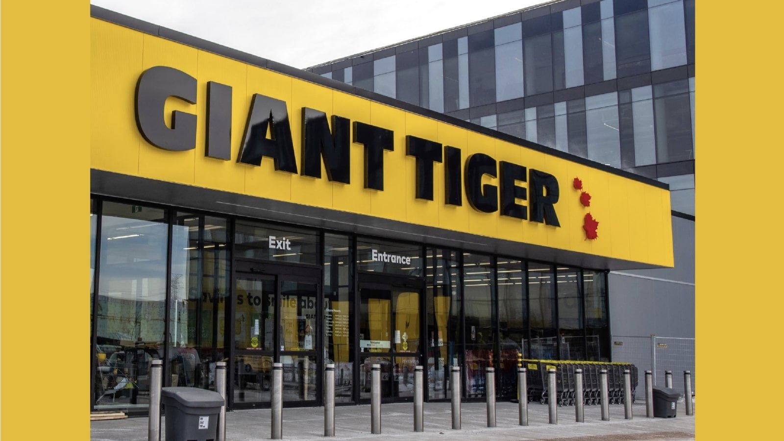 Giant Tiger Data Breach Exposes 2.8M Customer Records