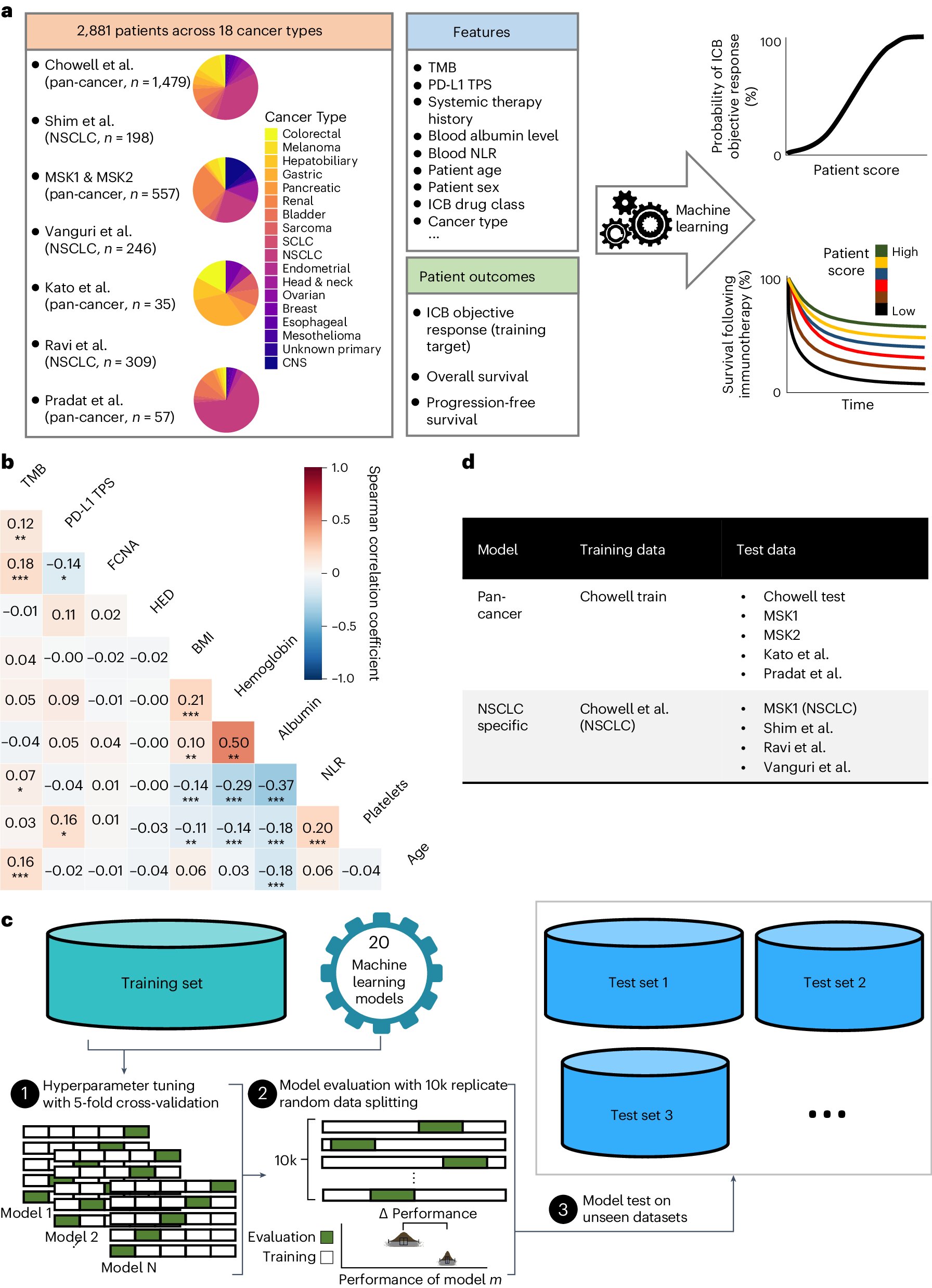 NIH Unveils AI Tool LORIS to Predict Cancer Immunotherapy Success with ...