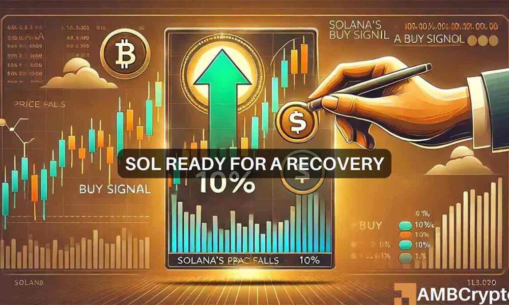 Solana's 10% Drop Sparks Investor Concern, But New Buy Signal Hints at Potential Bull Rally