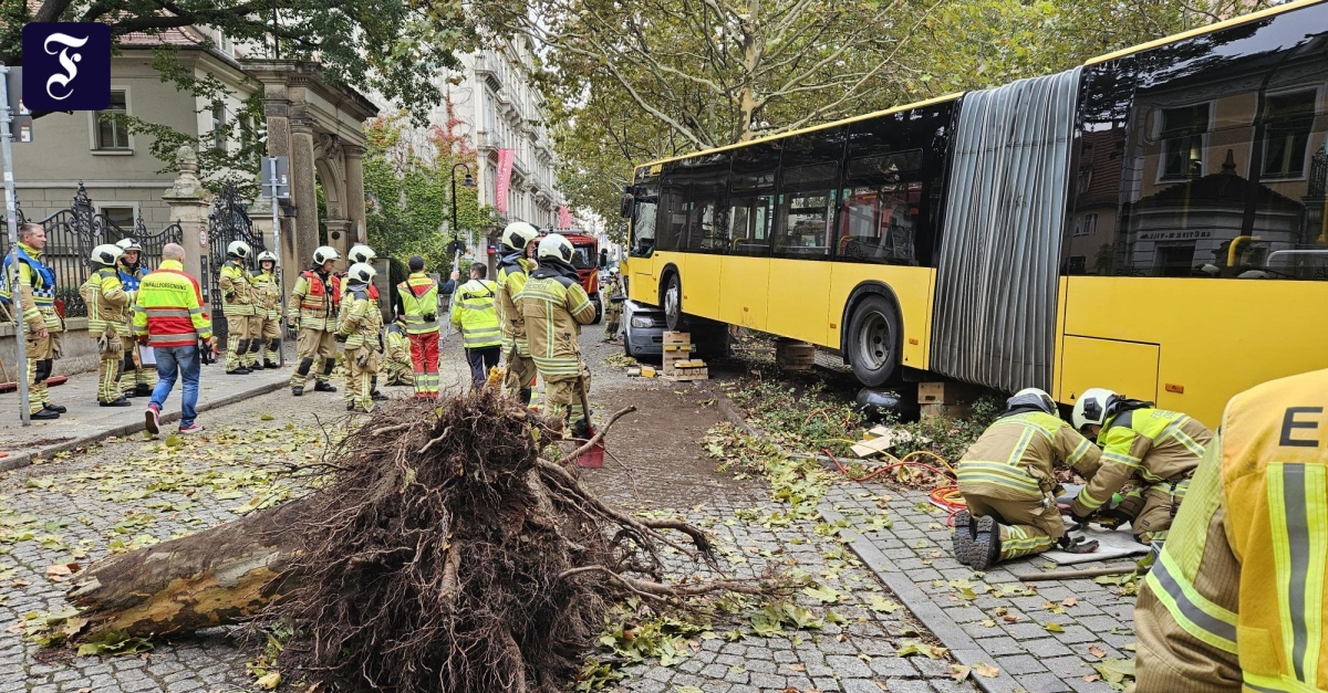 School Bus Overturns in Newtownards, 30 Injured but No Life-Threatening Conditions