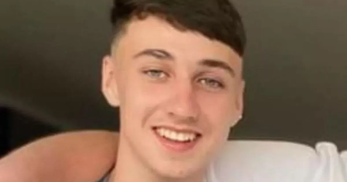 Teen Found Dead in Tenerife Valley After Music Festival: Family Seeks Closure Amid Tragic Loss