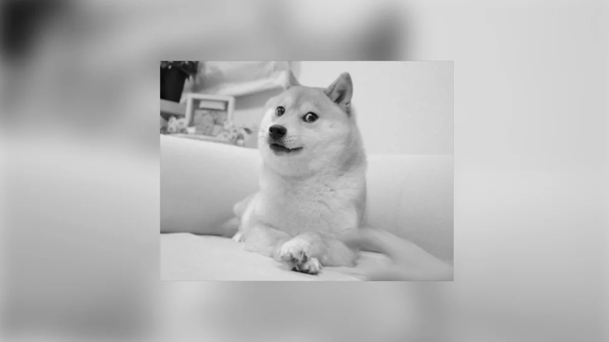 Farewell to Kabosu: Beloved Doge Meme Shiba Inu Passes Away at 17, Inspires Dogecoin Spike
