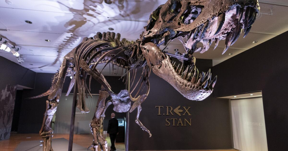 T. rex Not as Clever as Once Thought: Study Challenges Brainy Dinosaur Myth