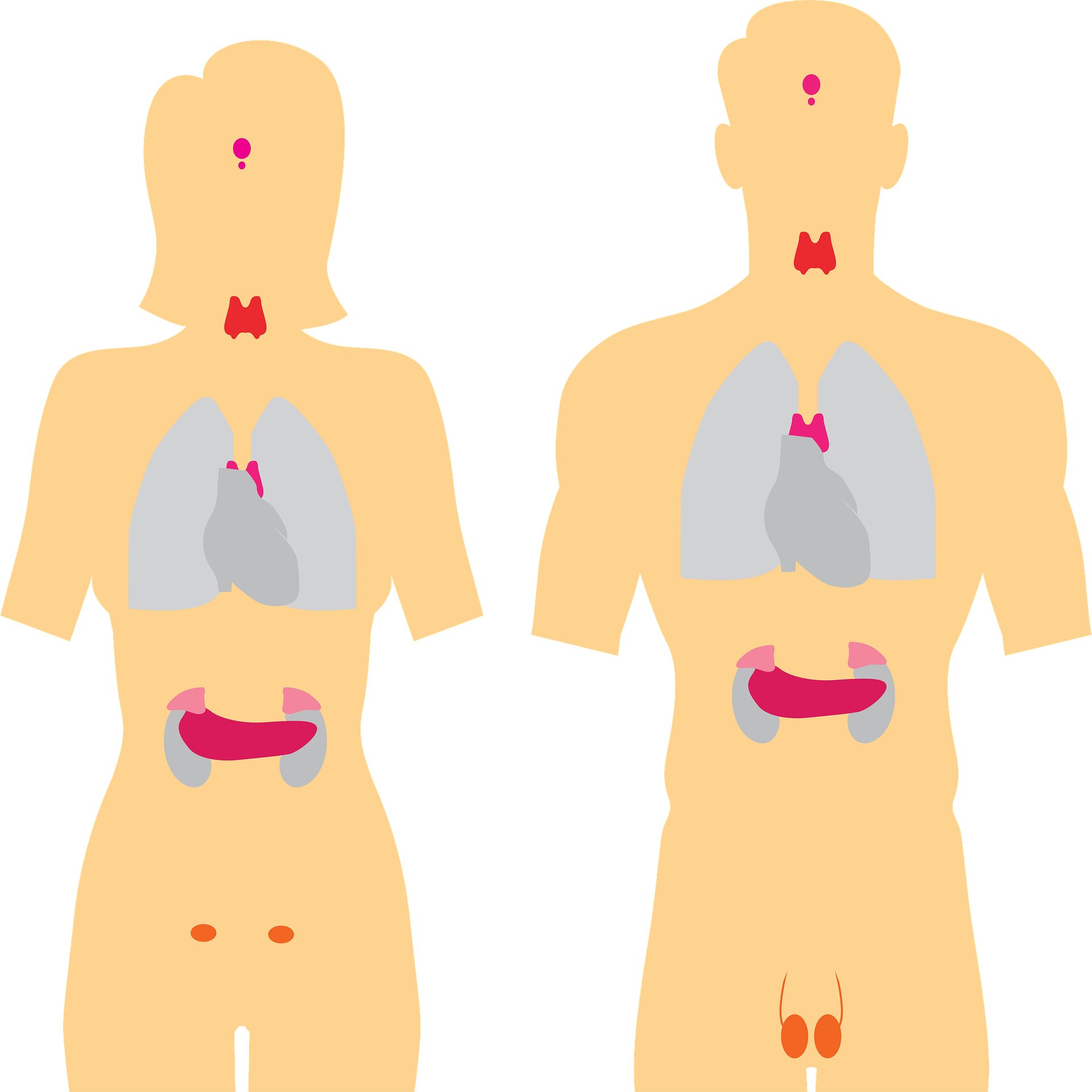 Groundbreaking Study Reveals How Gender-Affirming Hormone Therapy Alters Immune Responses in Transgender Individuals