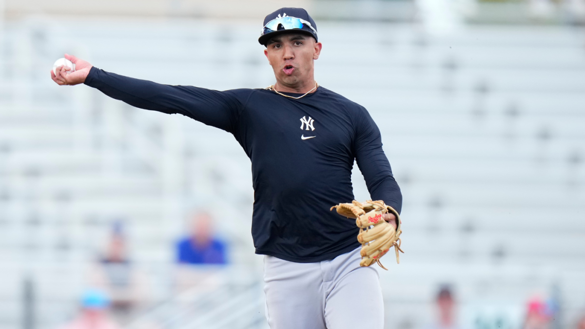 Yankees' Peraza Out with Shoulder Injury; Bench Role Up for Grabs