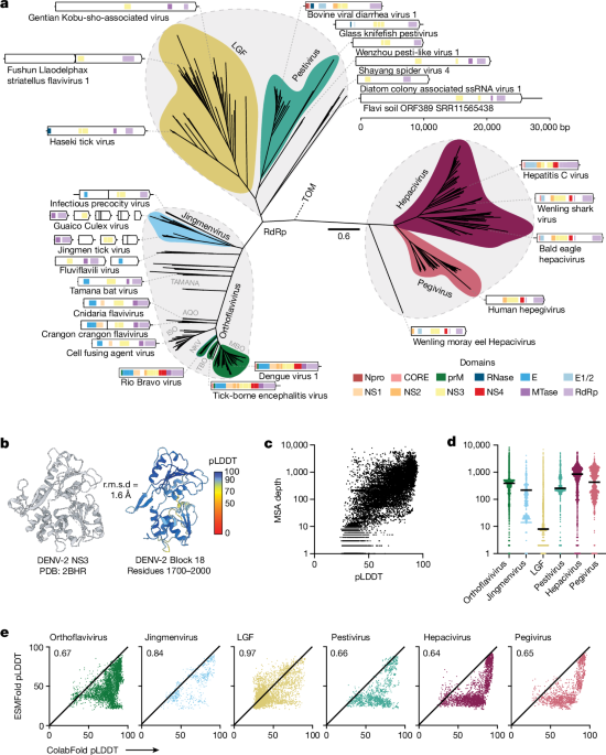 AI Uncovers New Hepatitis C Entry Mechanism, Paving Way for Vaccine Development