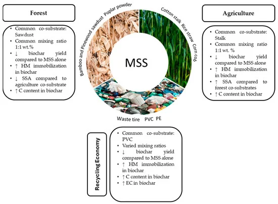 Rising Biosolid Waste Spurs Environmental and Health Concerns: The Promise and Challenges of Biochar Solutions