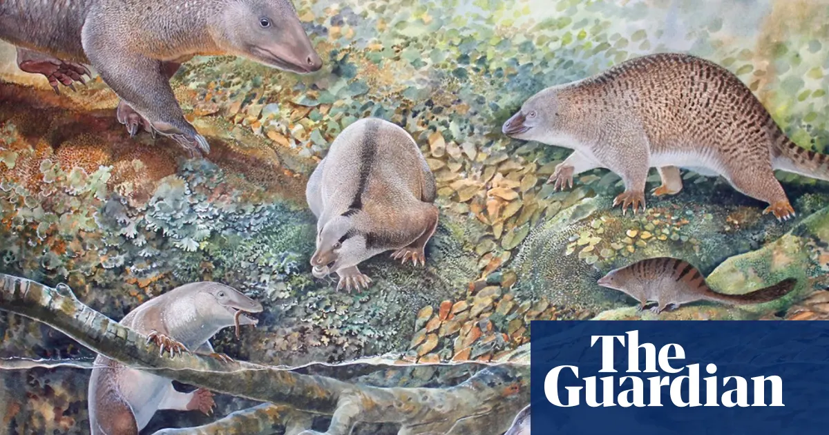 Scientists Unearth 6 New Ancient Monotreme Species in Australia, Including Unique 'Echidnapus'