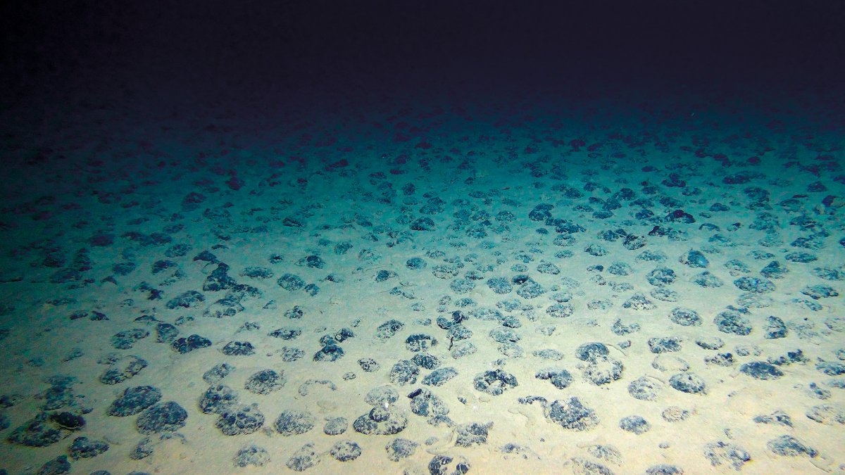 Groundbreaking 'Dark Oxygen' Discovery in Pacific Ocean Could Reshape Deep-Sea Mining Regulations